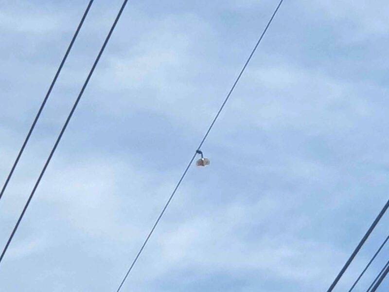 TransGrid Mission Accomplished